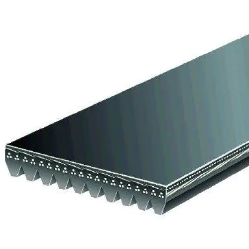 10-RIB 67.5’’ BELT
