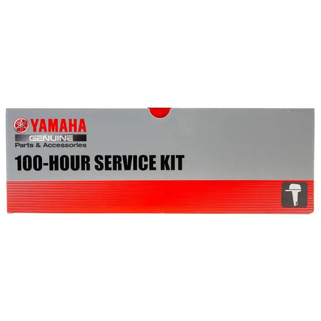 100-Hour Service Kit F250/F300 - Engine service