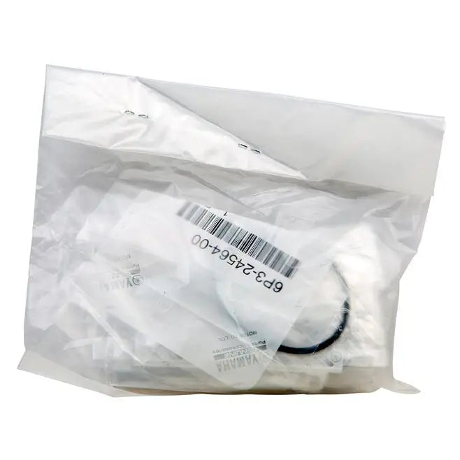 100-Hour Service Kit F250/F300 - Engine service