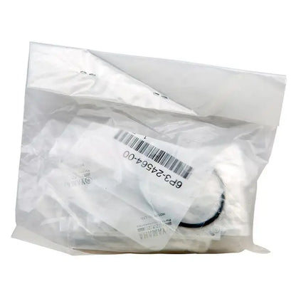 100-Hour Service Kit F250/F300 - Engine service