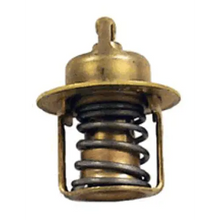 160 DEG THERMOSTAT OMC 982554