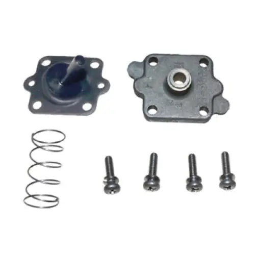 Accelerator Pump Kit - OEM