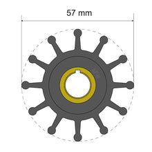 Albin Group Premium Impeller Kit 57 x 12.7 x 20mm - 12 Blade - Key Insert [06-01-013] - Impellers