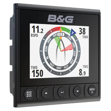 BG Triton2 Digital Display [000-13294-001] - Instruments