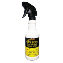BoatLIFE Mildew Remover - 16oz [1137] - Cleaning