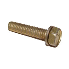 Bolt Exhaust Divider Plate - OEM
