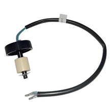 Cap Assembly - OEM