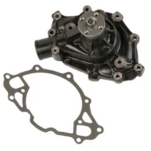 CIRC PUMP 302/351