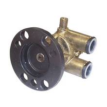 CIRC PUMP RAW WATER