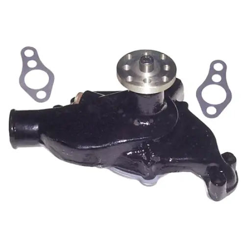 CIRCULATING WATER PUMP (OBS)