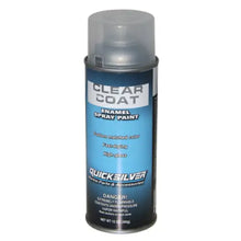 Clear Coat Paint - OEM