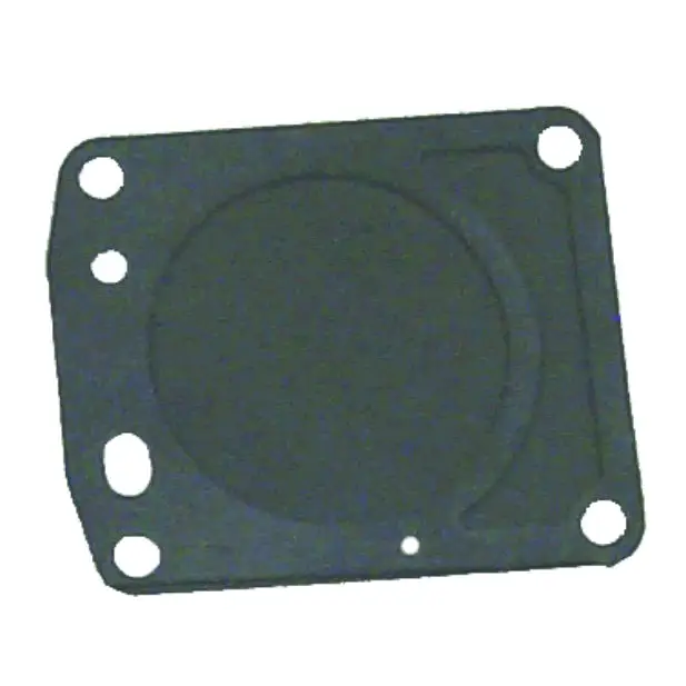FUEL PUMP DIAPHRAGM (DSC)