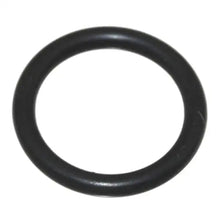 Fuel Pump O Ring Mounting - OEM