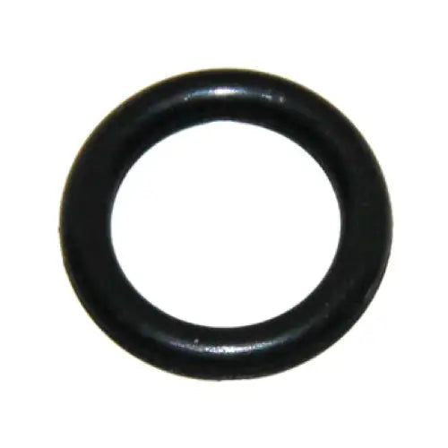 Fuel Pump O Ring - OEM