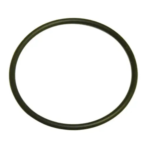 Gasket Fuel Filter OEM - OEM