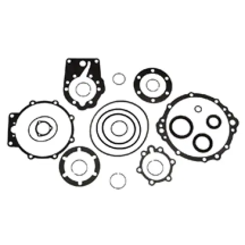 GASKET SEAL KIT (DSC)