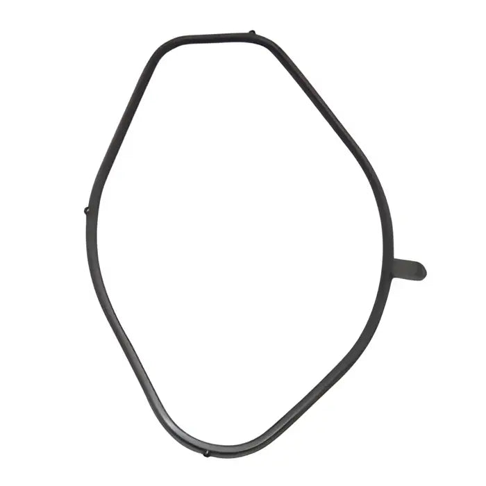 Gasket Throttle Body - OEM