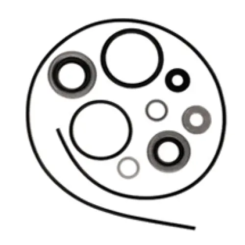 GEAR HOUSING SEAL KIT (DSC)