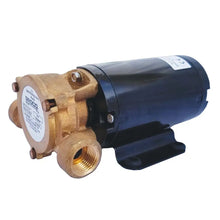 GROCO Heavy Duty Positive Displacement Vane Pump - 24V [SPO-60-N 24V] - Transfer Pumps