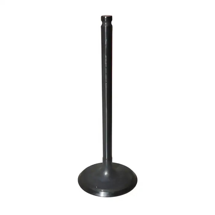 Intake Valve - Aftermarket