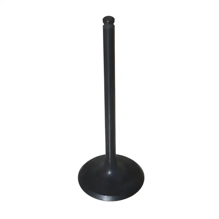 Intake Valve-SS - Aftermarket