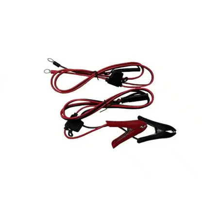 Ionic Lithium LiFePO4 12V 20A Charger