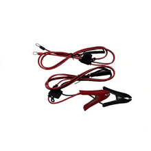 Ionic Lithium LiFePO4 12V 30A Charger
