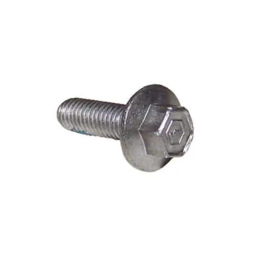 Lower End Cap Screw M6 - OEM