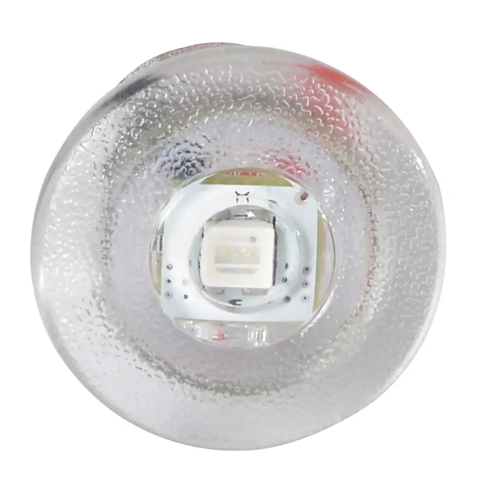 Lumitec Newt - Livewell & Courtesy Light - Red Dimming [101086] - Interior / Courtesy Light