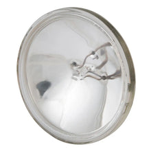Marinco Replacement Spotlight Bulb Replacement Kit f/22040A 22041 [22014-P] - Bulbs