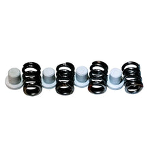 Maxwell Plunger/Spring Kit - 2200-4500 [P101550] - Windlass Accessories