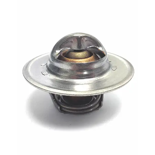 MC THERMOSTAT 160 DG