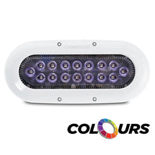 Ocean LED X-Series X16 - Colours LEDs [012311C] - Underwater Lighting