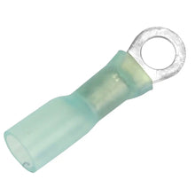 Pacer 16-14 AWG Heat Shrink Ring Terminal - #10 Stud Size - 3 Pack [TE14-10R-3] - Terminals