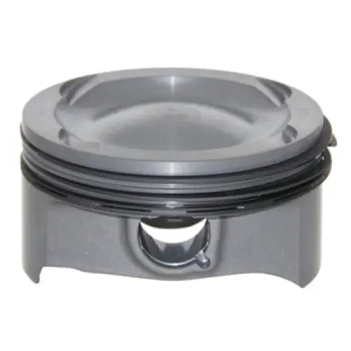 Piston Std with rings only OEM - OEM