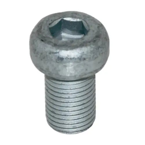 Plug Oil Drain Screw - OEM