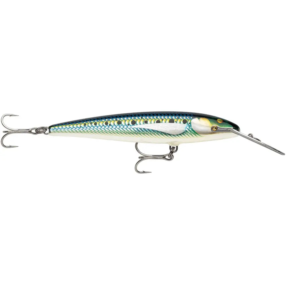 Rapala CountDown Magnum Elite 145 - 5-3/4’’ - Armored Sardine [CDMAGE145AMSRD] - Hard & Soft Baits