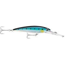 Rapala X-Rap Magnum 15 Blue Sardine [XRMAG15BSRD] - Hard & Soft Baits