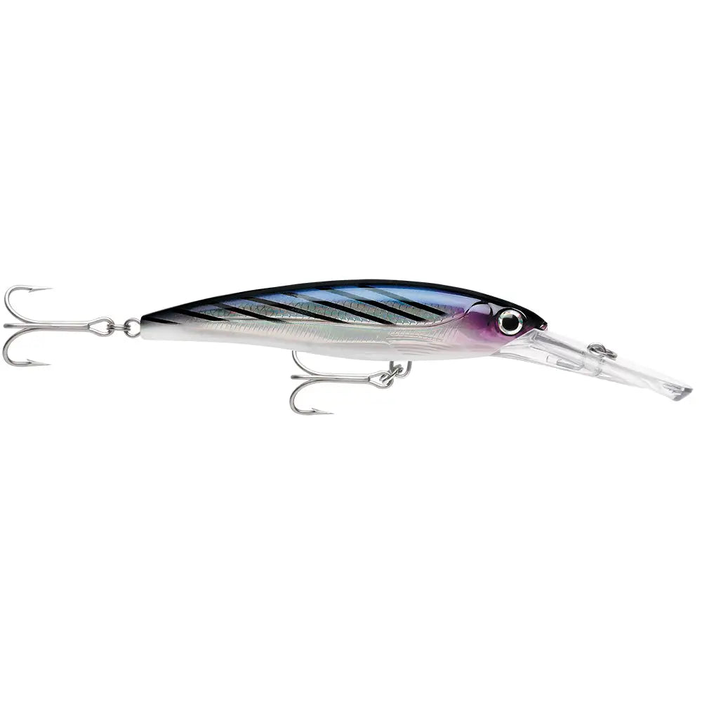 Rapala X-Rap Magnum 15 Bonito [XRMAG15BTO] - Hard & Soft Baits