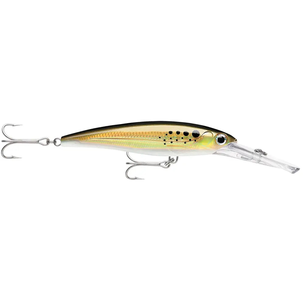 Rapala X-Rap Magnum 20 Bunker [XRMAG20BNK] - Hard & Soft Baits