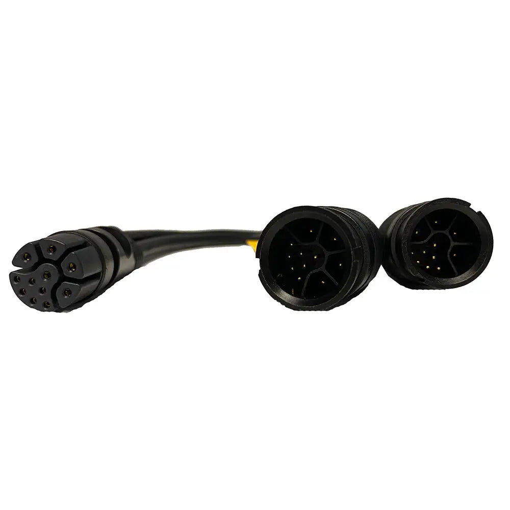 Raymarine Y Cable f/2 CHIRP Transducers f/CP470 CP570 [A102146] - Transducer Accessories