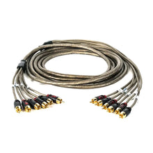 Roswell 5M 6-Channel RCA Cable [C920-0325] - Accessories