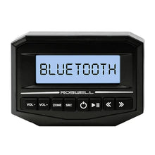 Roswell Digital Media Wired Remote w/Extension Cable [C920-21004] - Stereos