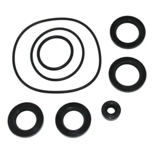 Seal Kit Lower Gearcase - Aftermarket
