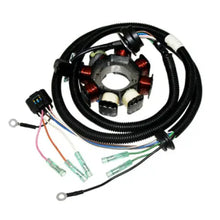 Stator Assembly OEM - OEM