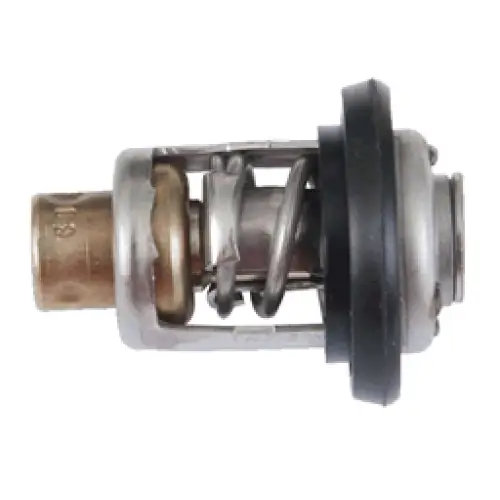 THERMOSTAT