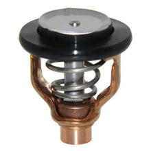 Thermostat Assy OEM - OEM
