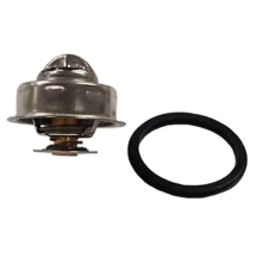 THERMOSTAT KIT
