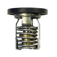 THERMOSTAT MERCURY