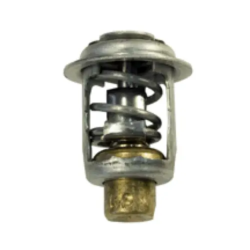 THERMOSTAT MERCURY